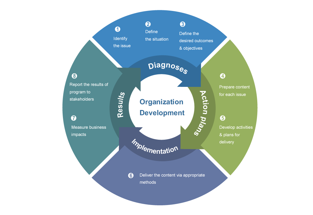 Diagnosis In Organizational Change Programs